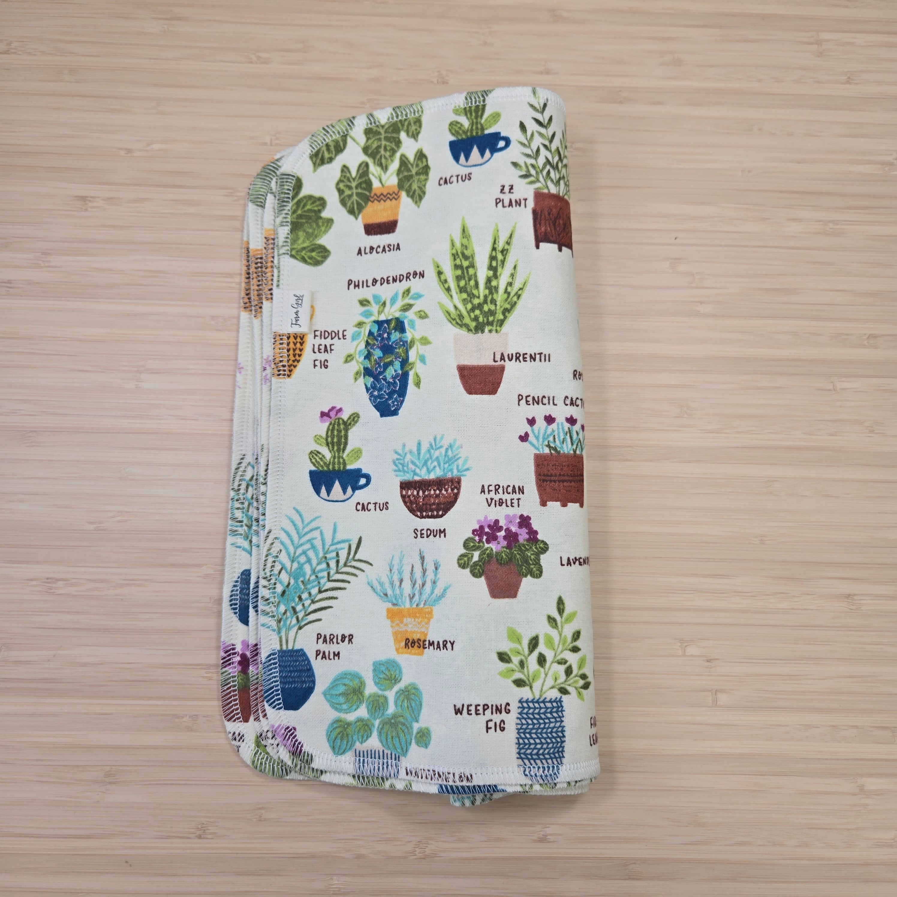 Asciugamani riutilizzabili senza carta | Piante da appartamento in vaso